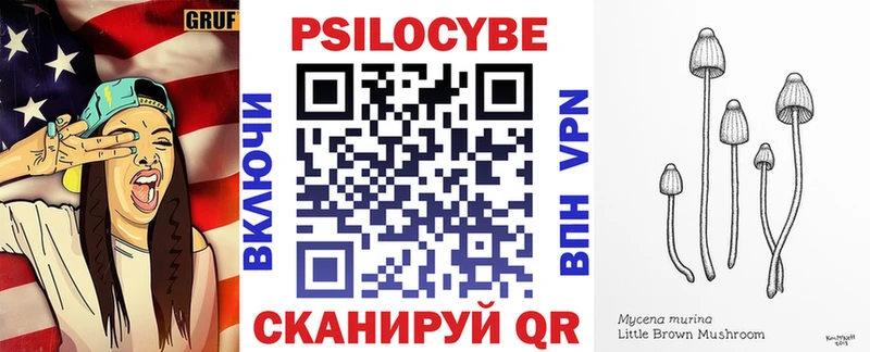 Псилоцибиновые грибы ЛСД  Бологое 